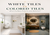 White Tiles vs Colored Tiles: Best Pick for Indian Bathrooms