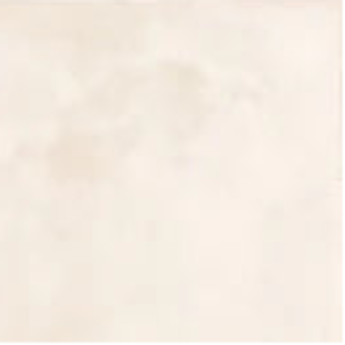 303 MN Tile 12x12 Inch – Soft ivory-beige matte wall tile with rustic texture and neutral finish.

