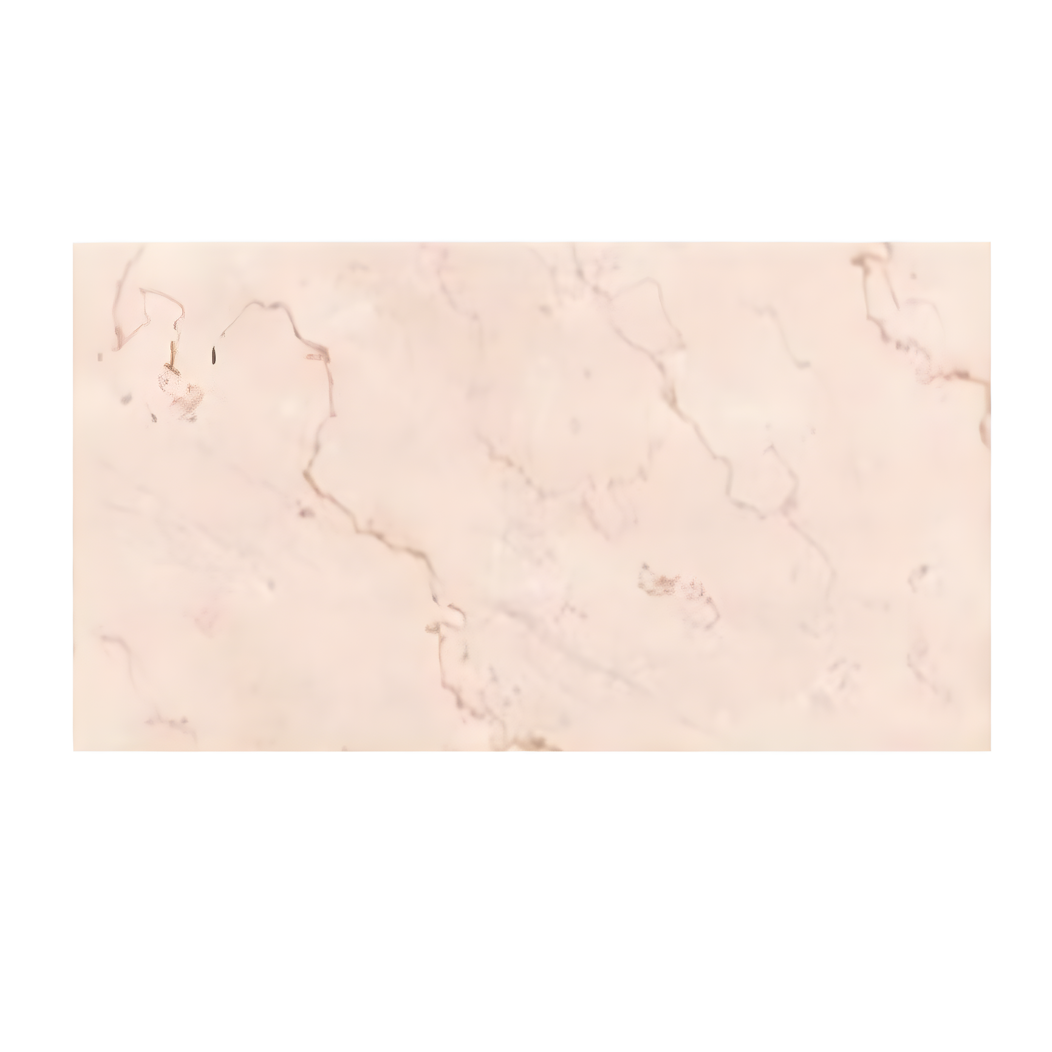 Beige marble tile with a subtle pattern 