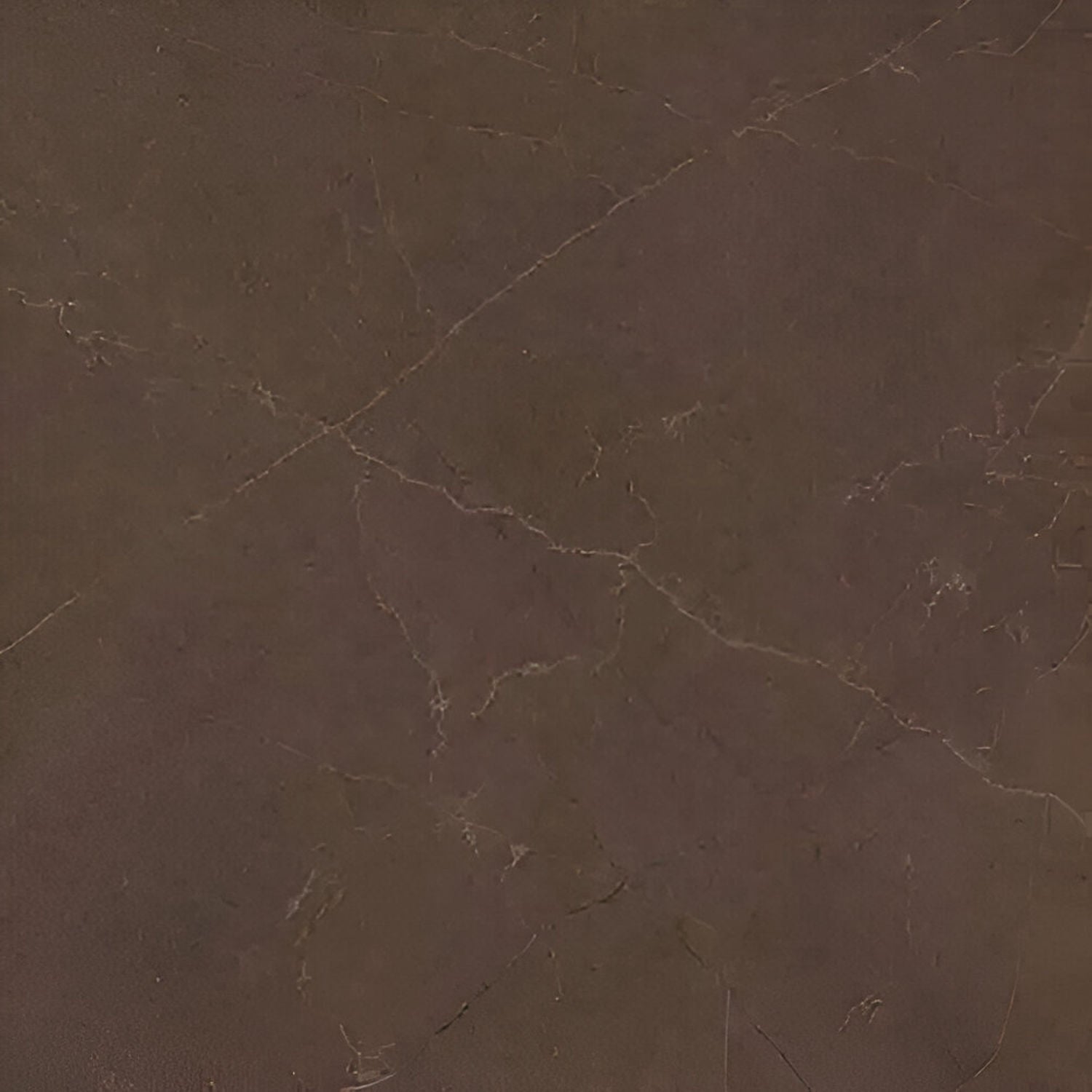 Jaguar Cotto Marble Vitrified Tile 16 Inch x 16 Inch featuring a polished warm brown finish with subtle marble veining suitable for luxurious wall and floor applications in living rooms kitchens and commercial spaces
