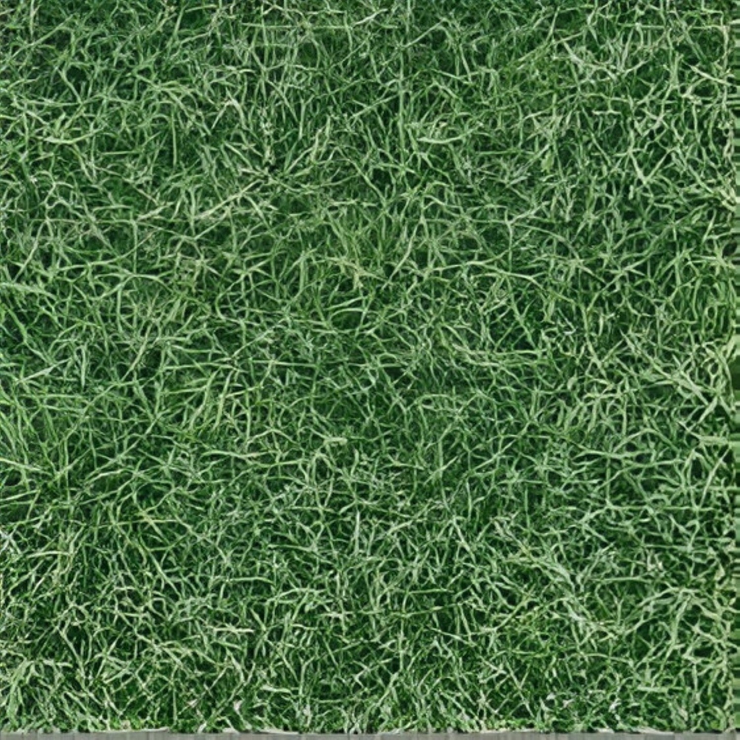 Natural Grass Vitrified Tile – 16×16 inch matt-finish vitrified tile in realistic green grass-look pattern, ideal for durable outdoor terrace, balcony, or garden flooring.