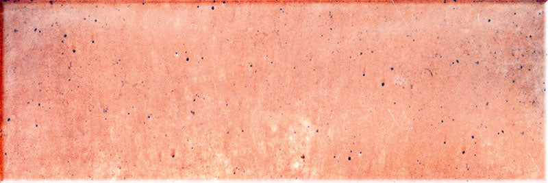 Jamaican Coral Subway Tile 3 * 9 Inch