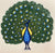 TTHE-8 Peacock Cermaic Tile 6 x 6 Inch