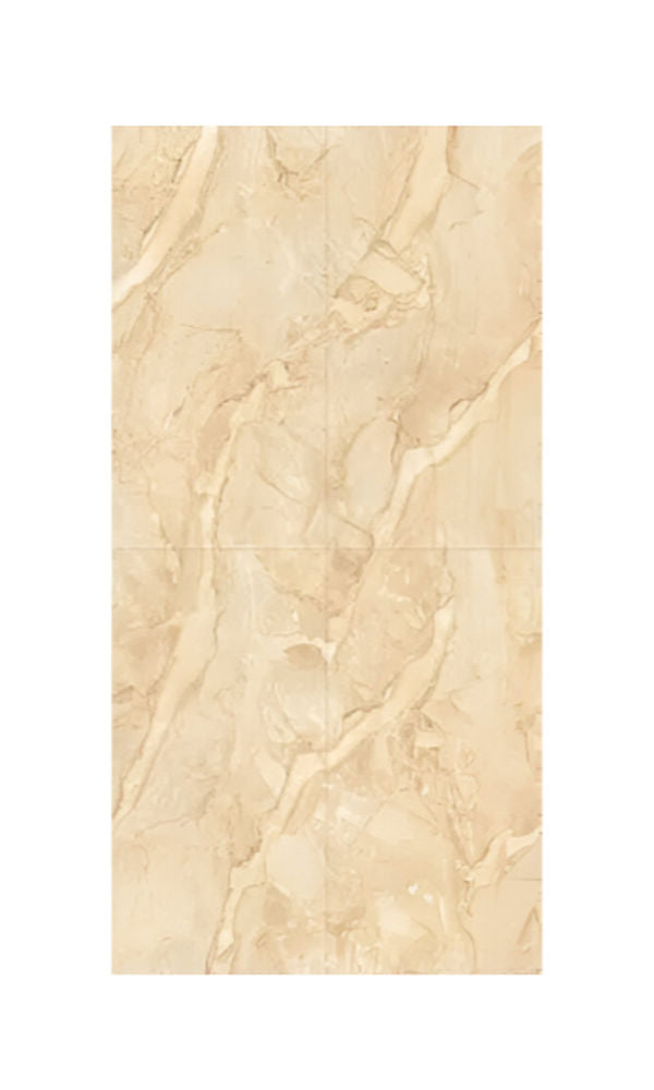 Dyna Endless Vitrified Tile 24*48 Inch