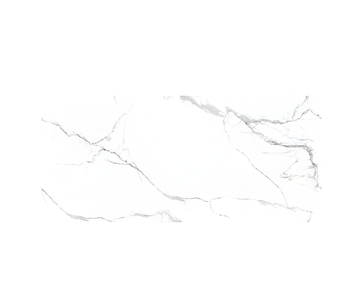 El Costa Statuario Vitrified Tile 24 x 48 Inch