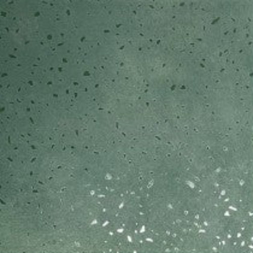Forest Green Terrazzo Vitrified Tile 12 * 12 Inch
