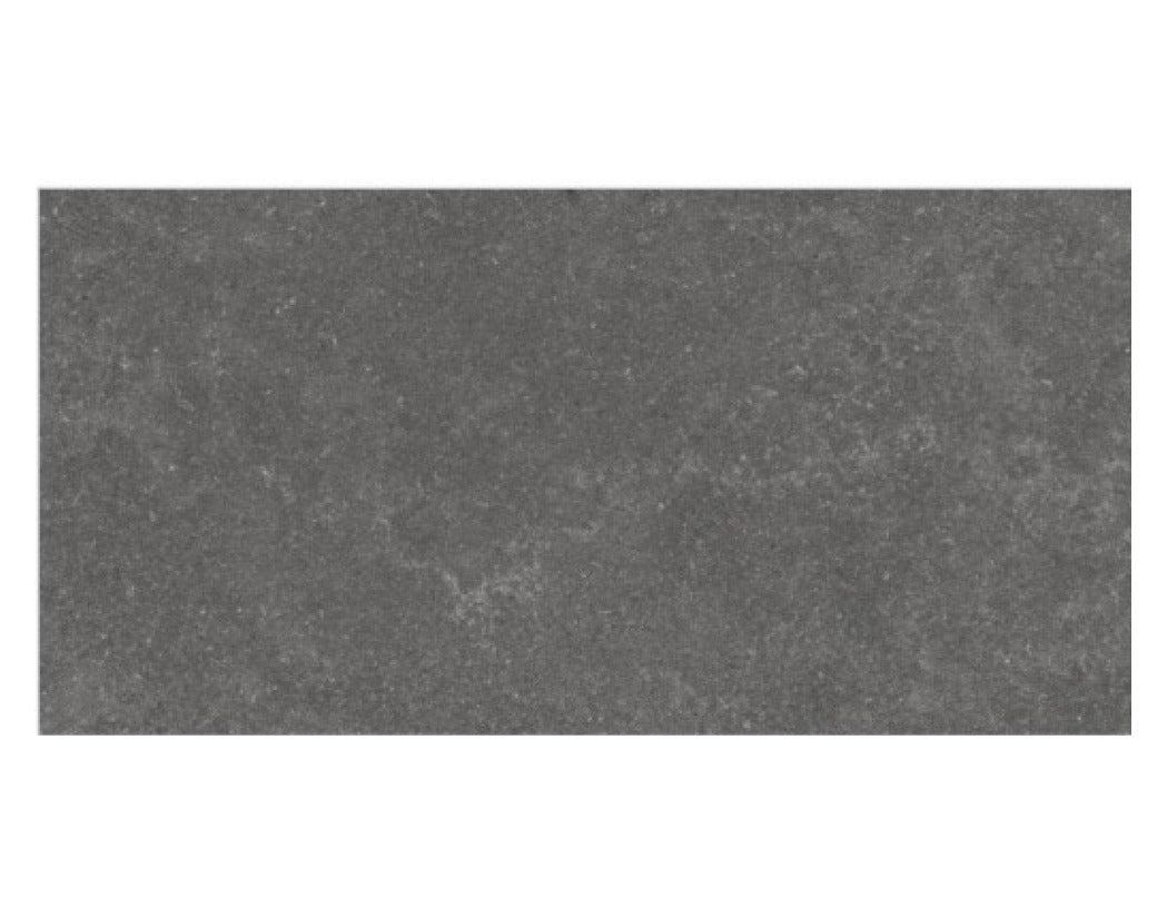 Fossil Charcoal 24x48 Inch tile