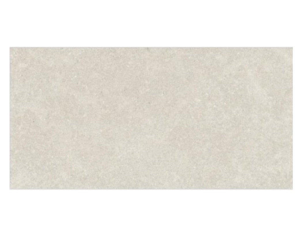 Fossil Silver 24x48 Inch tile