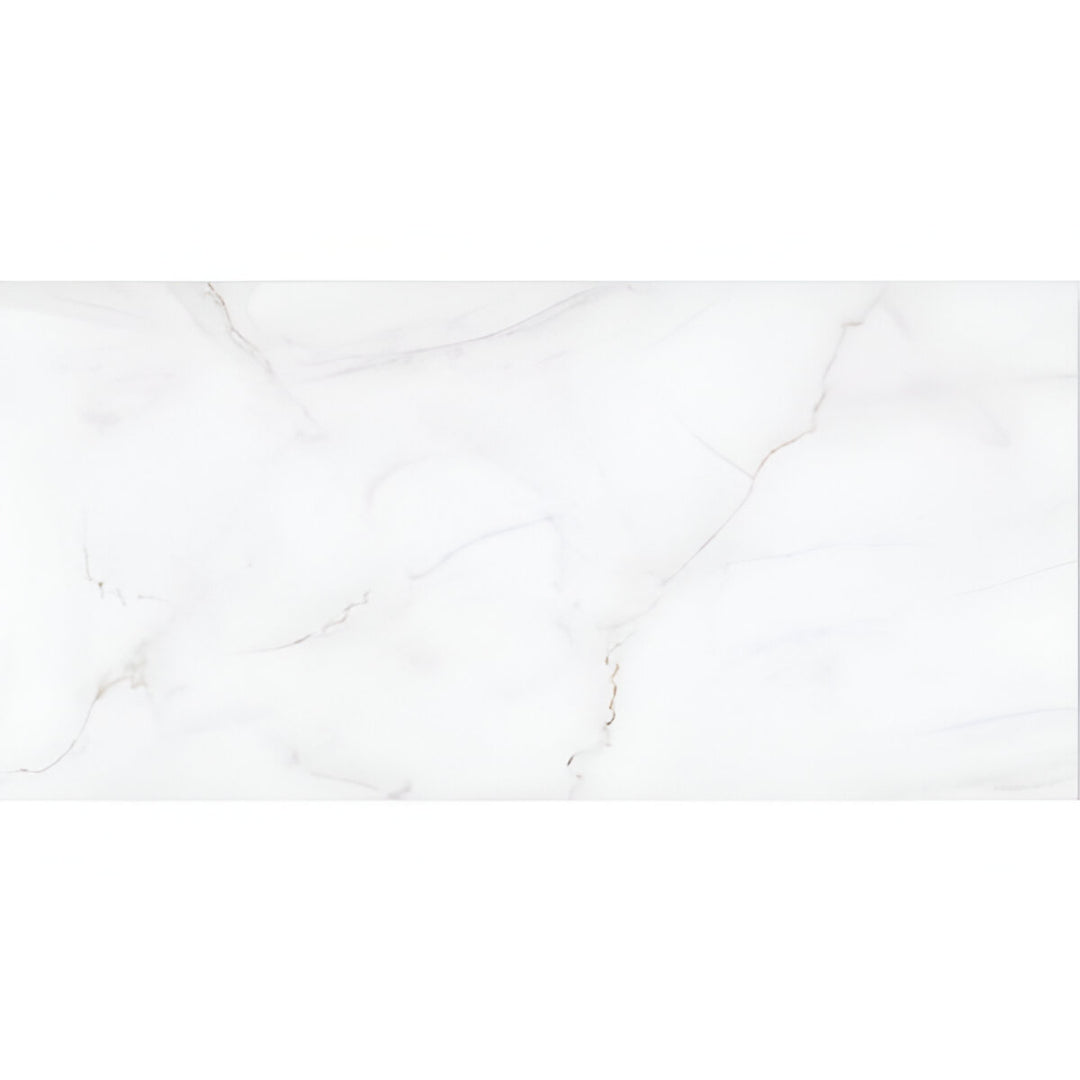 IND-429-LT Ceramic Tile 12 x 24 Inch