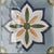 Lucido Phool Vitrified Gloss Tile 8 * 8 Inch