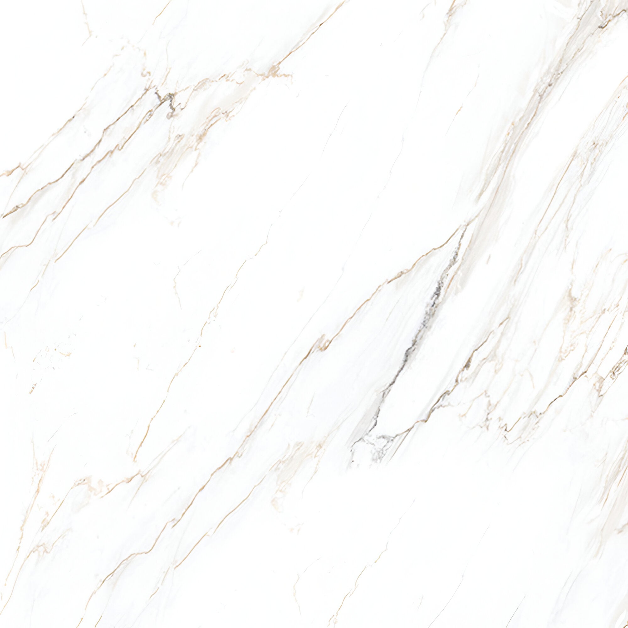 Perl Satuario Marble Ceramic Tile 24 * 24 Inch