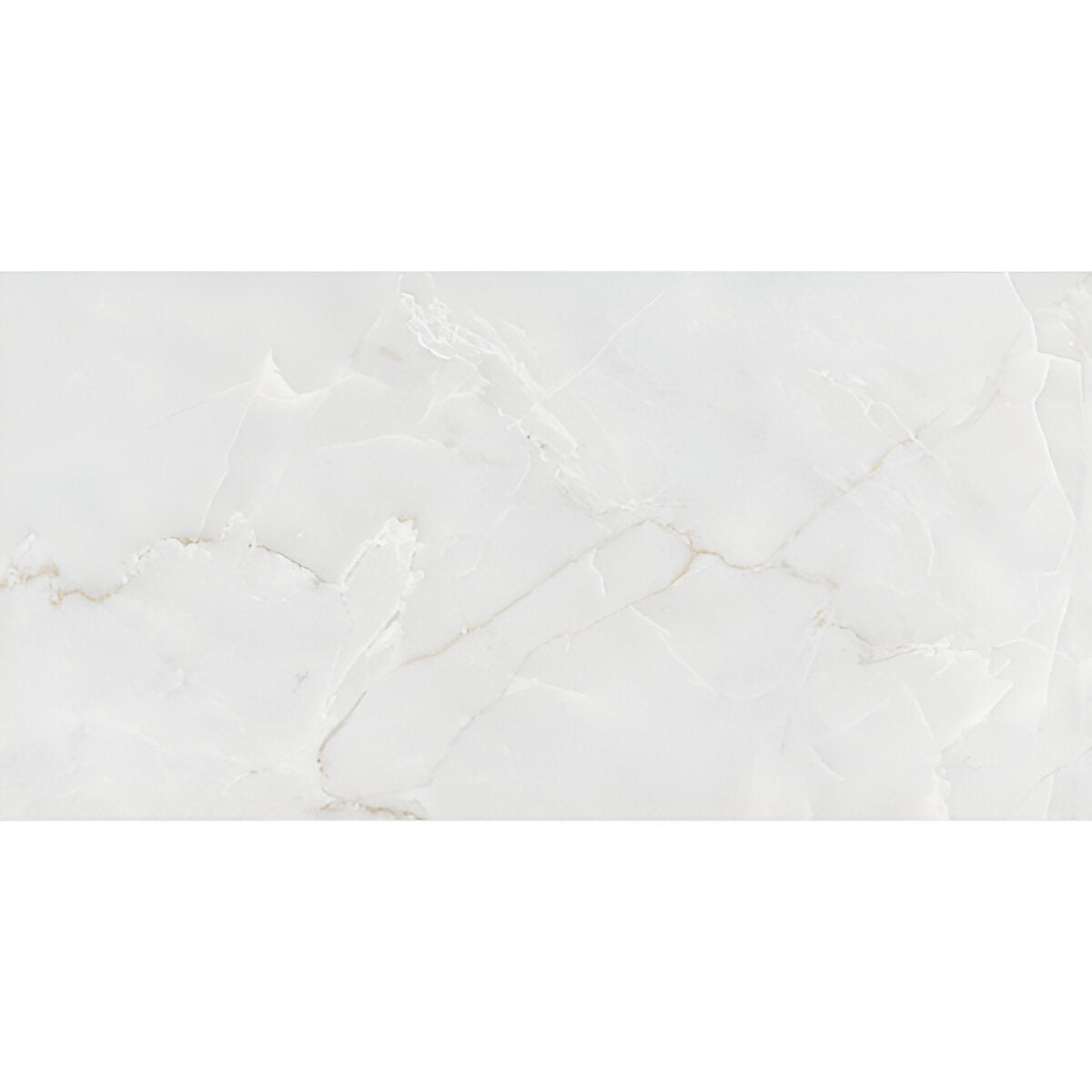 S-9013 Gloss Vitrified Tile 24 * 48 Inch