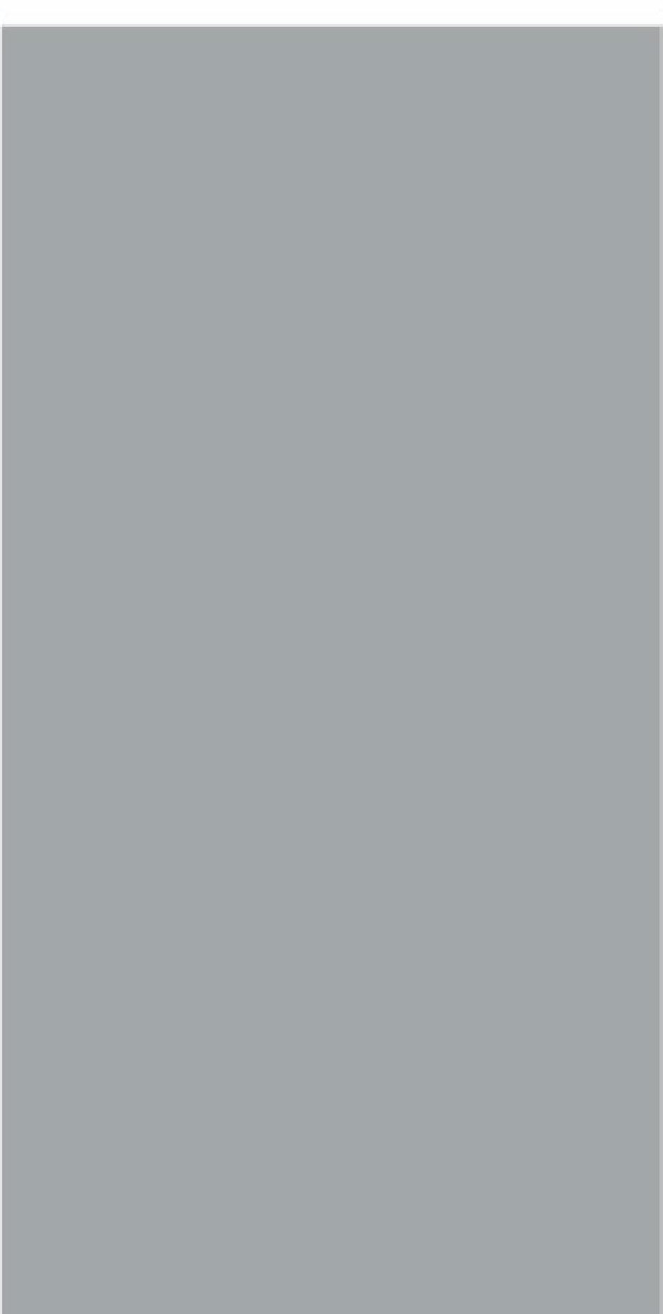 Saja Grey Decor-01 24x48 Inch plain field tile