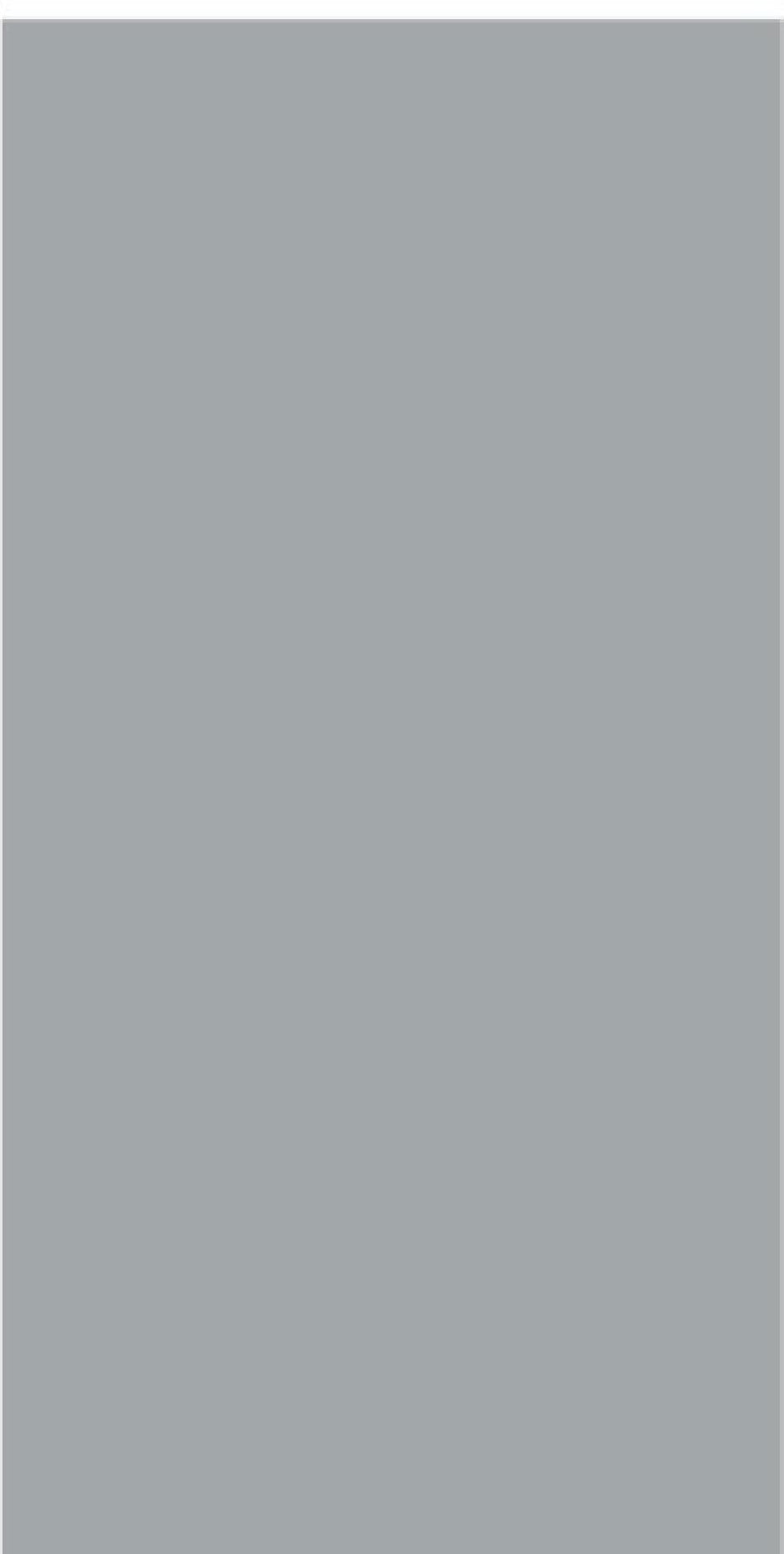 Saja Grey Decor-02 24x48 Inch plain field tile