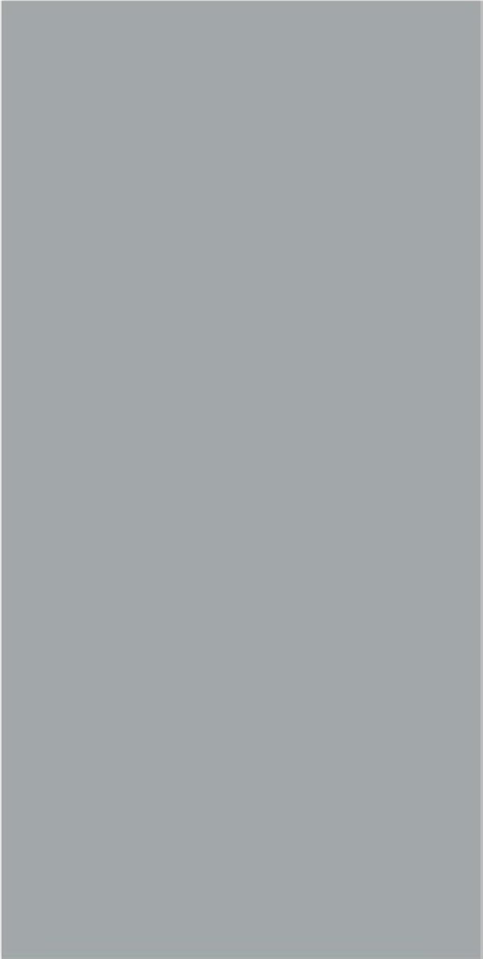 Saja Grey Decor-03 24x48 Inch plain field tile