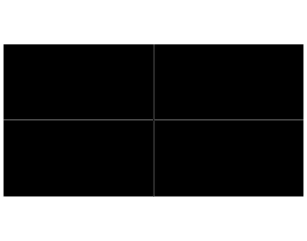 Super Black Vitrified Tile 24*48 Inch layout