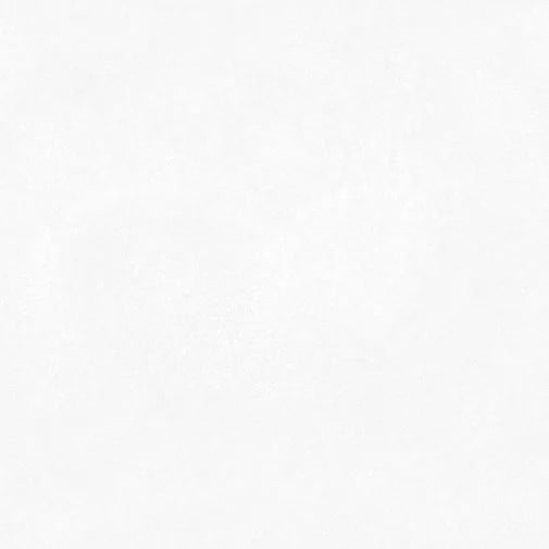 VZ 704 Porcelain Tile 24*24 Inch