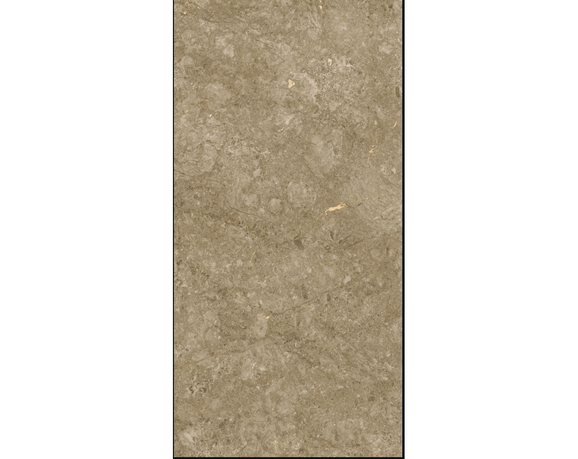 Grace Willy Natural 32 Inch x 64 Inch tile face close-up
