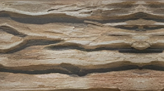 Wood trunk Matt Vitrified Tiles 12*18 Inch