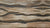 Wood trunk Matt Vitrified Tiles 12*18 Inch